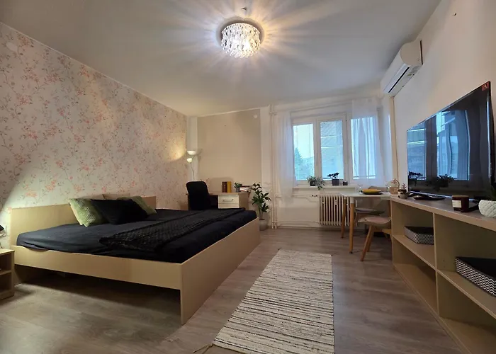 Cozy And Modern - Free Parking Bratislava